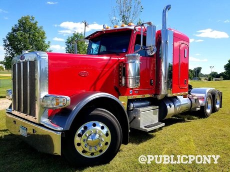 Public Pony onlyfans naked leak