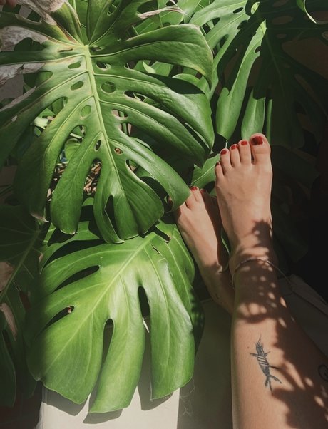 Profeeterole nudes leaked onlyfans