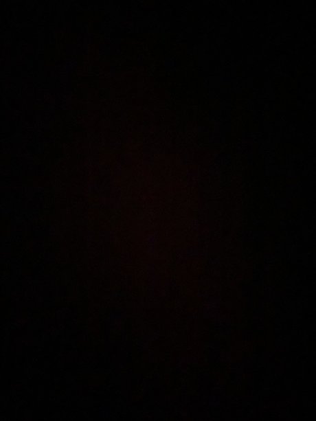 Primrose_ onlyfans strip tease