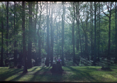 Riley Chase naked onlyfans