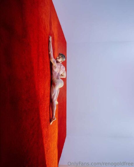 renogoldfree nsfw onlyfans