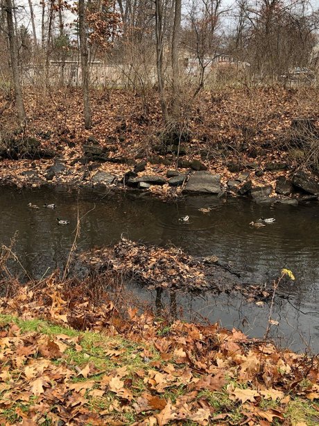 firehose onlyfans gratis