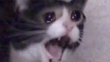 Rookao leaked onlyfans sex