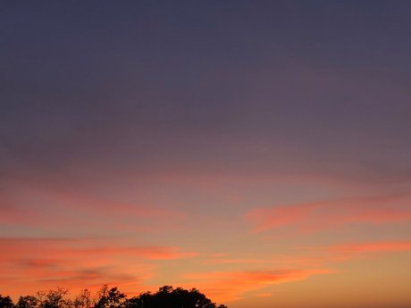 Mars Collapses onlyfans mega