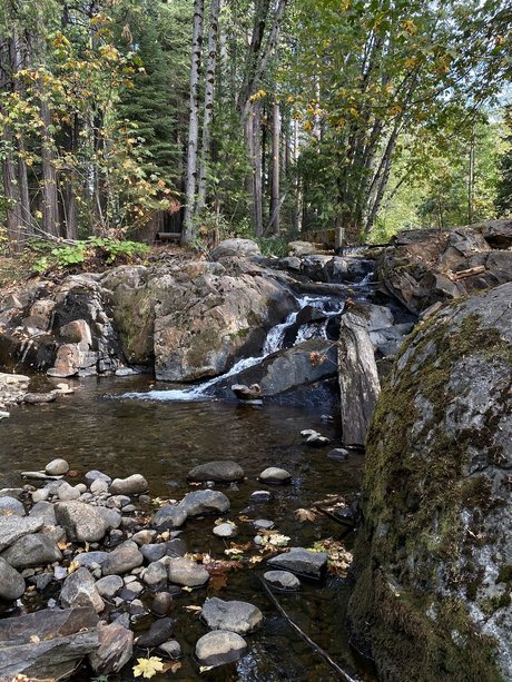 El Rio_ onlyfans mega