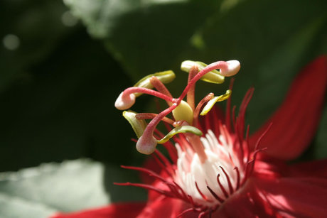 Baby Sugarpills naked leaked onlyfans