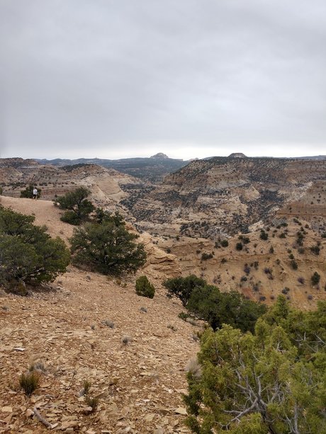 Bamfurlough onlyfans leaks.