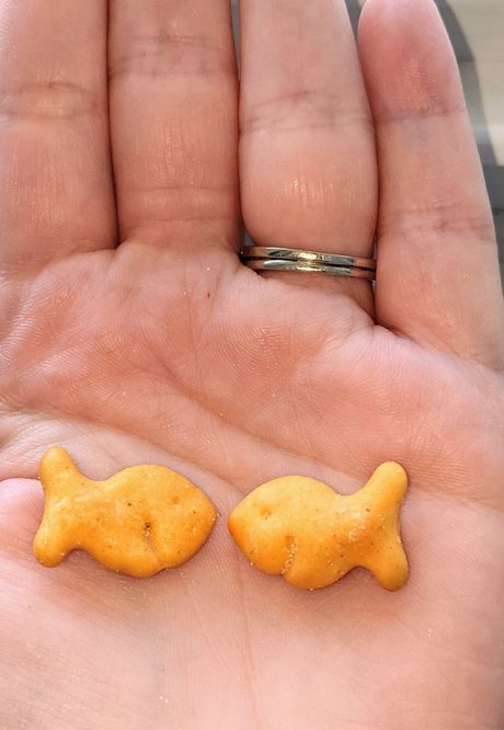 Banana amp amp Milkshakes onlyfans full