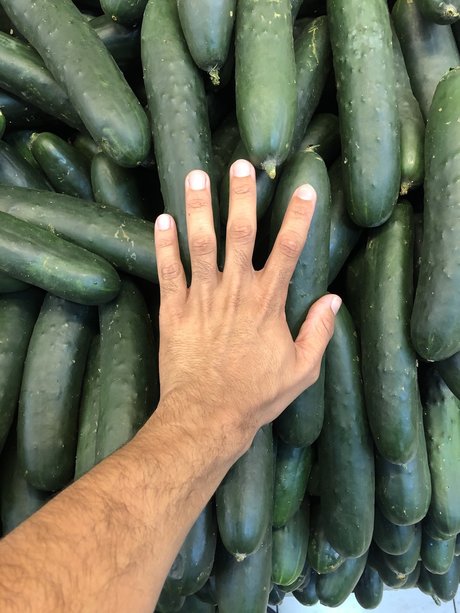 matica de pelo onlyfans naked porn