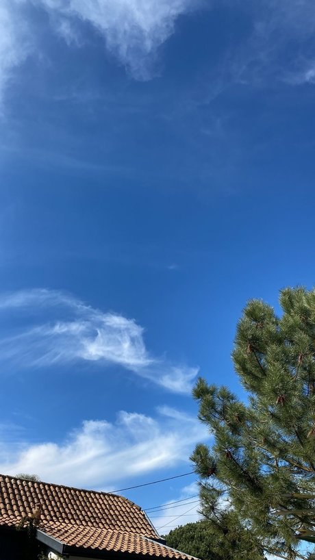 Tayou78 onlyfans sex