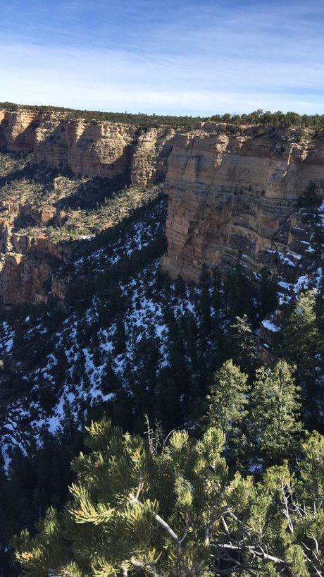 Toney leaked onlyfans nudes