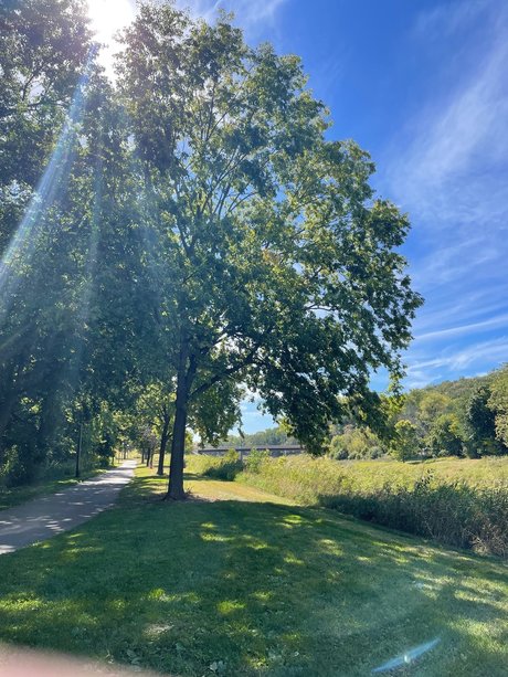 Mary s Land onlyfans leake