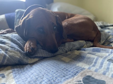 Hank Christy onlyfans free