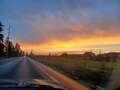 Mir onlyfans archives