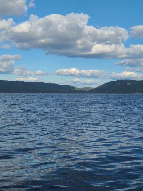 Mr D only fans content