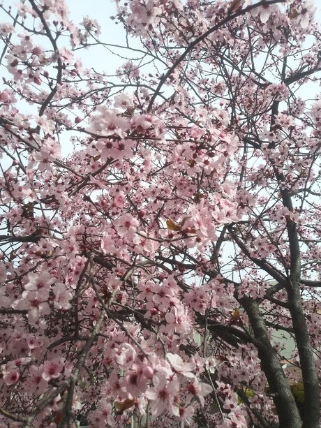 Mer Castro onlyfans porn free