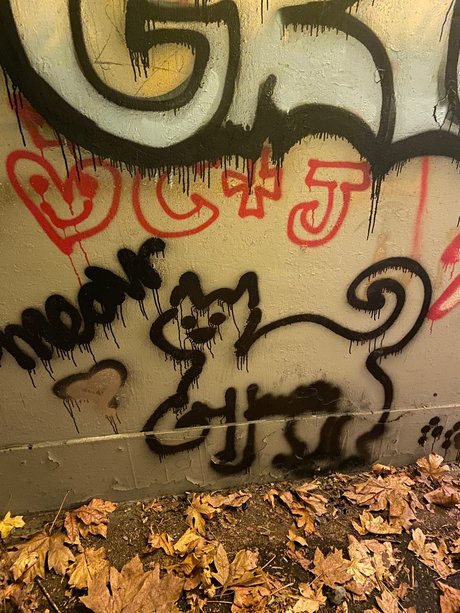 Meowjwanna onlyfans leaks sex