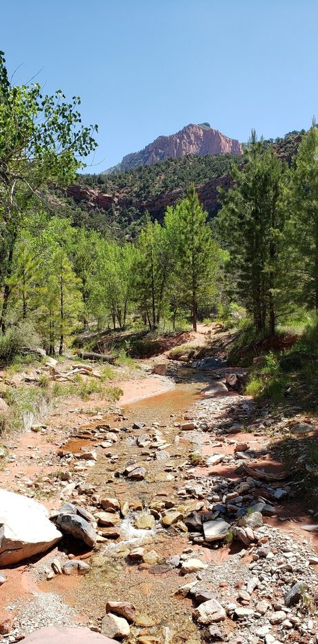 James Webb_ onlyfans leaked nude