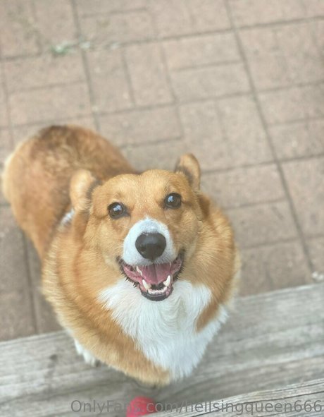 hellsingqueen666 onlyfans xxx