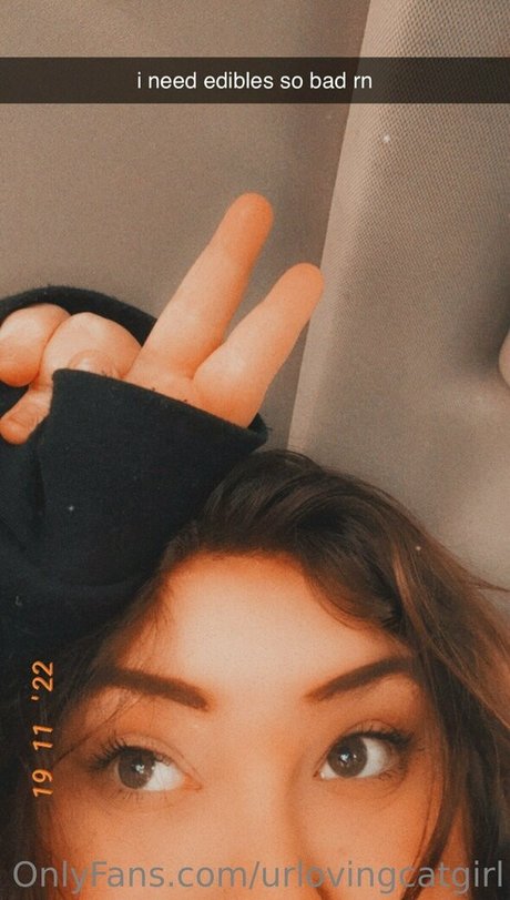 urlovingcatgirl porn onlyfans