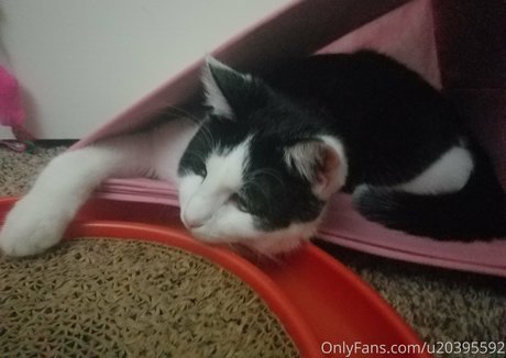 asian maid onlyfans beautiful porn photos