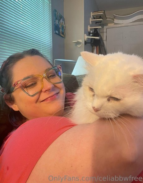 celiabbwfree onlyfans nudes porn