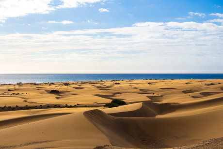 Dutchmguy87 sexy onlyfans