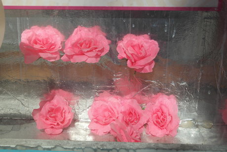 Metsanneiti onlyfans pics