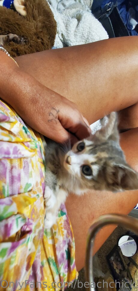 Beach Chick 321 leaked naked onlyfans