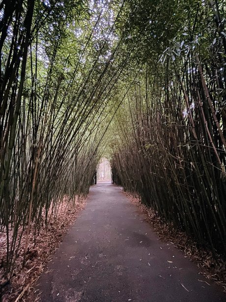 Miky 88 free onlyfans