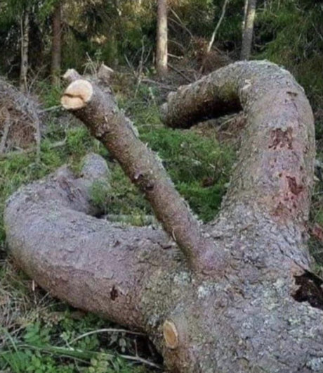 Energee new onlyfans