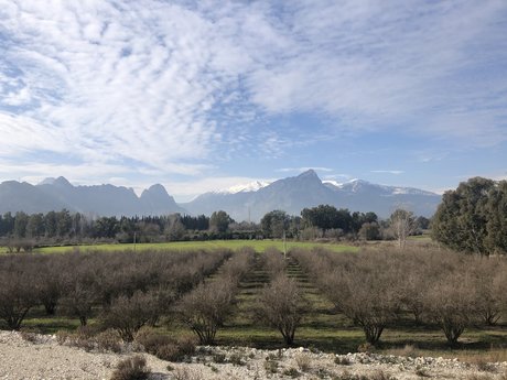 Antalya Bisex onlyfans sex tape