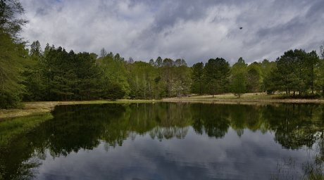 BigJoeLuvin23 porn onlyfans leaks