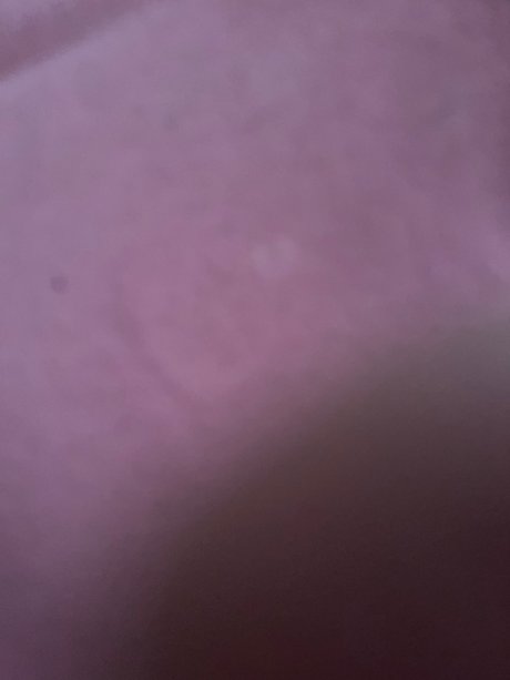 Michele Alexandriaa onlyfans