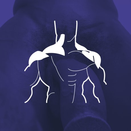 Andres Henri leaked only fans nudes