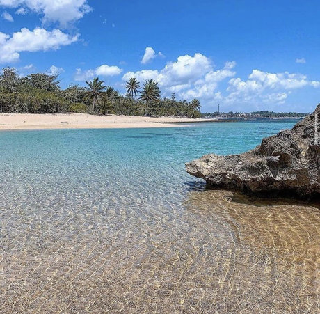 Caribbean Boy_ leaked porn onlyfans