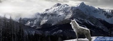 Chad Mordecai sex onlyfans