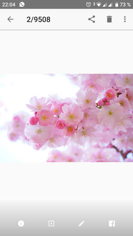 Miss Appleeee onlyfans model