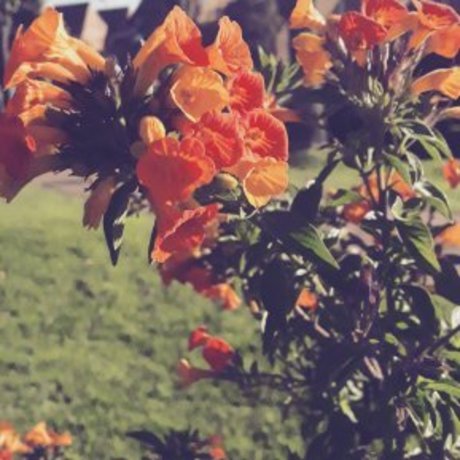 Ana Ann onlyfans porn nude