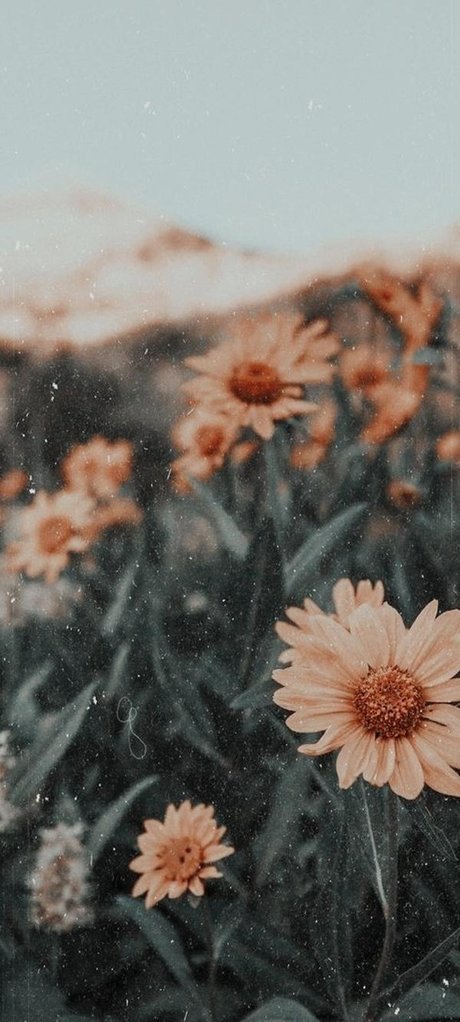 _Nicole onlyfans leaked pics