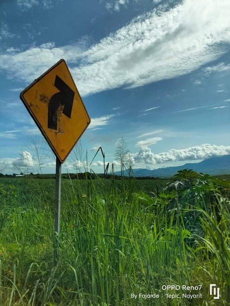 Java face nude onlyfans pics