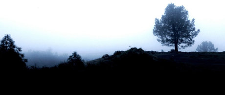 Jayjayjayx naked onlyfans leak