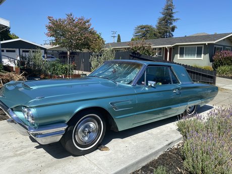 Hung TS Lora XXX leaked onlyfans