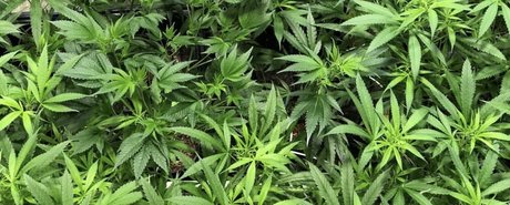 Kara Mel_ leak onlyfans nude