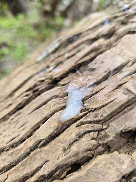 Jaden Big onlyfans leak