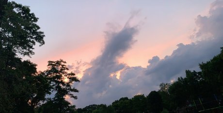 Hoffzilla onlyfans nude tits