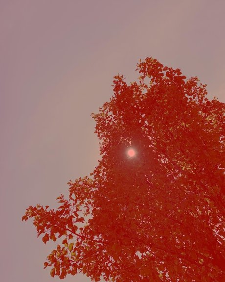 monique_ leak onlyfans porn