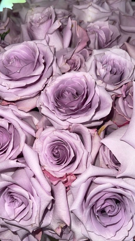 Momdashian onlyfans pictures