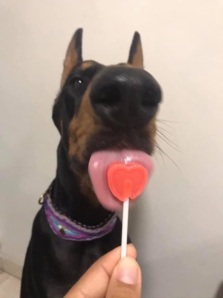 john alissa onlyfans leaked naked