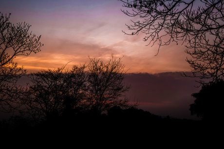 Jojo Kat onlyfans naked